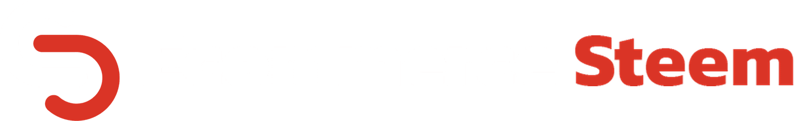 EcommerceSteem